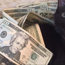     !