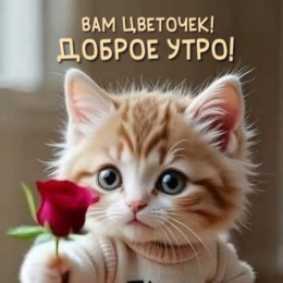 ������� � ������� ( ����� ����� ) !!! + �����. + �����. !!!