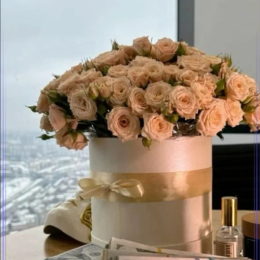 ������ ��� �������