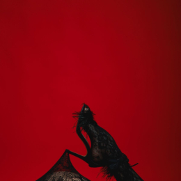 ������ ���� �����