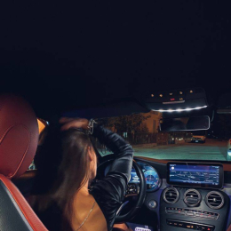 ������ � ����������