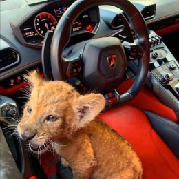 ��� ����� 10 ����!!!!!!!