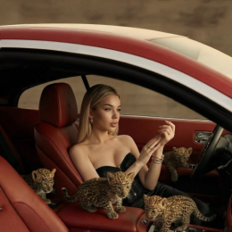 ������! ������! ������