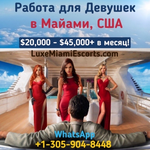  +1(305)904-84-48