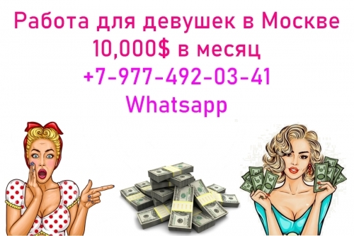  +7(977)492-03-41