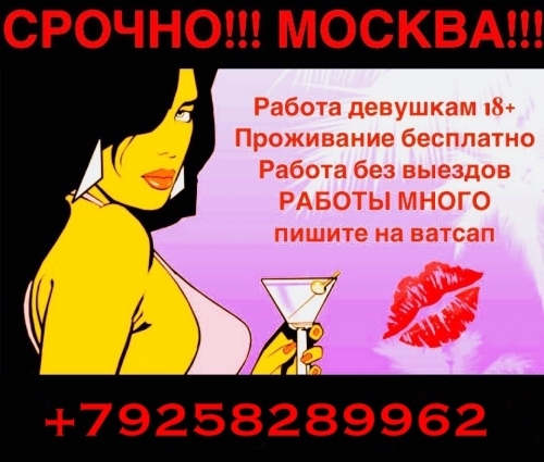 +7(991)762-86-89