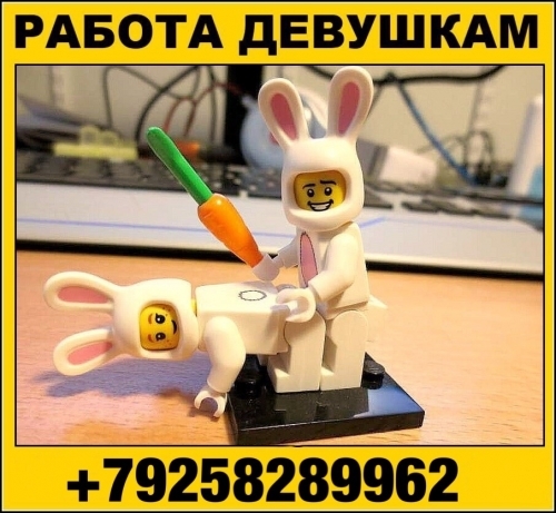  +7(991)558-36-48