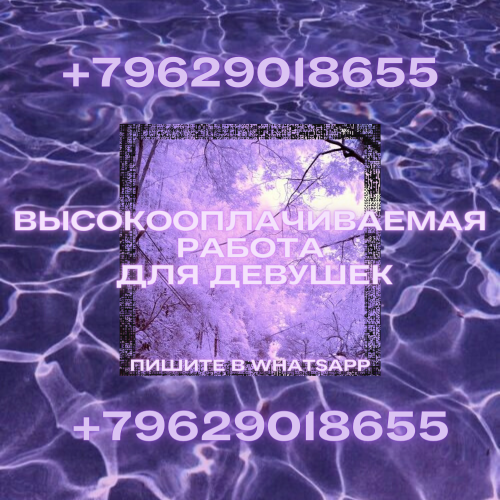  +7(962)901-86-55