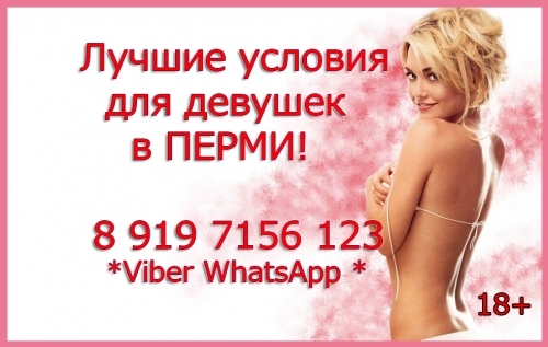  +79197156123